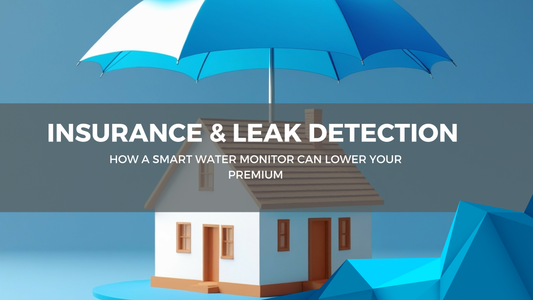 Insurance & Leak Detection