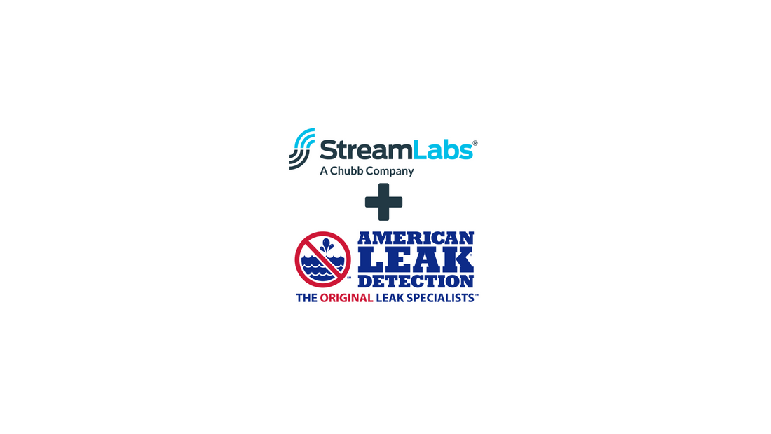 Revolutionizing Water Leak Detection
