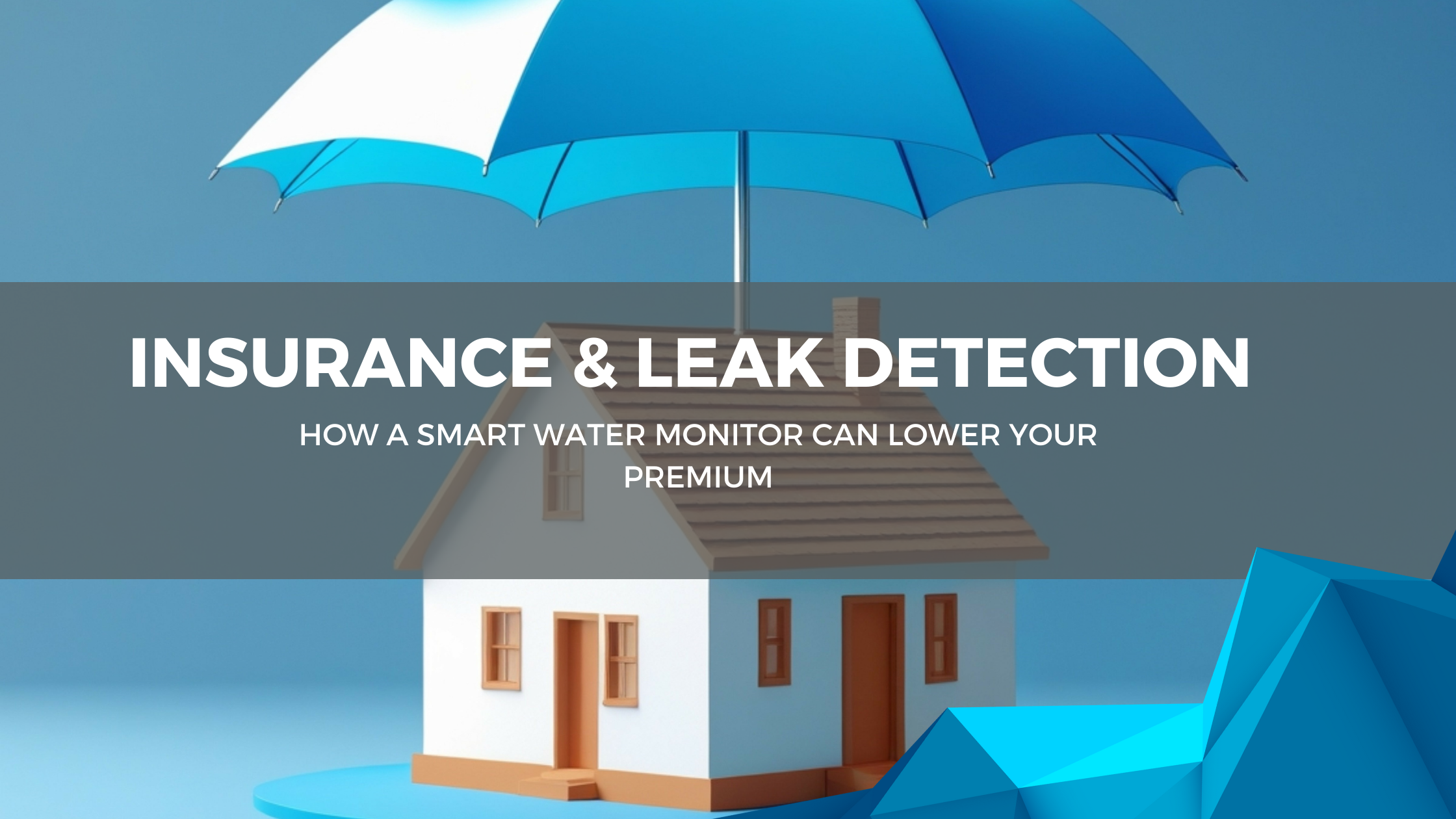 Insurance & Leak Detection
