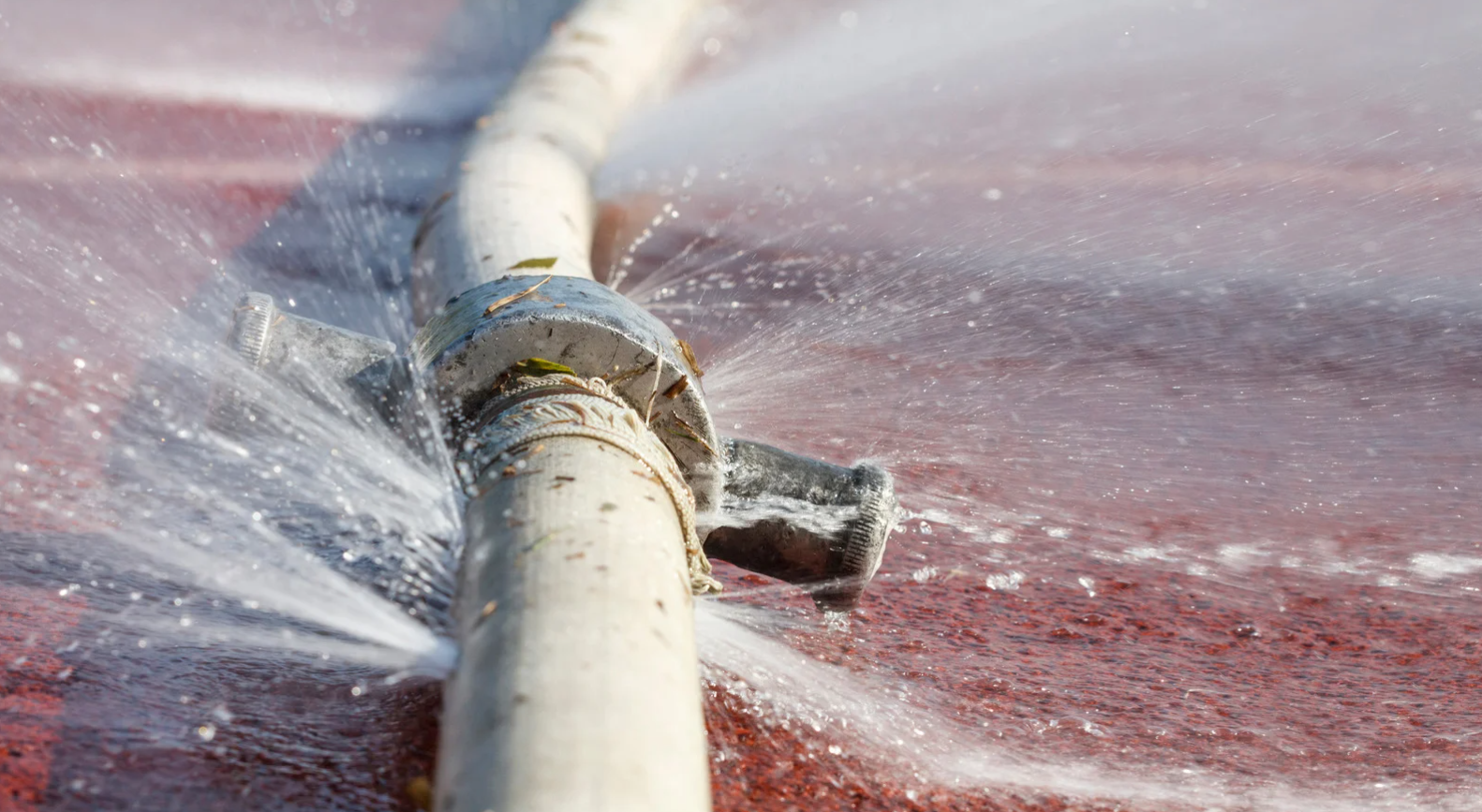 What’s the Cost of Water Damage from Burst Pipes vs. the Cost of Prevention?