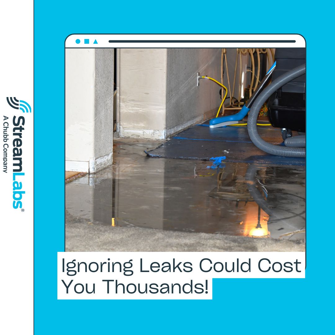 The Cost of Ignoring Water Leaks in Commercial Properties.