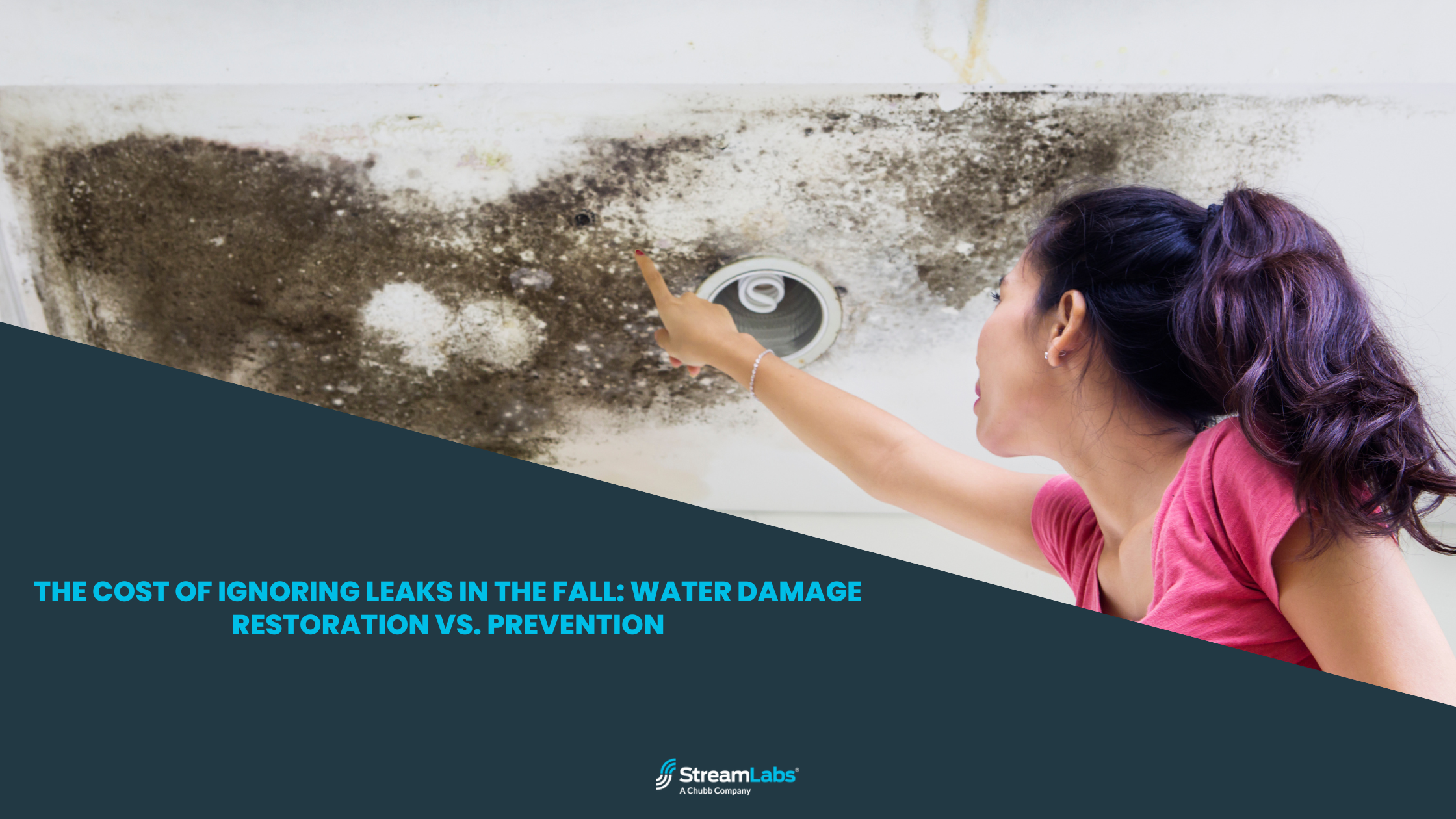 The Cost of Ignoring Leaks in the Fall: Water Damage Restoration vs. Prevention