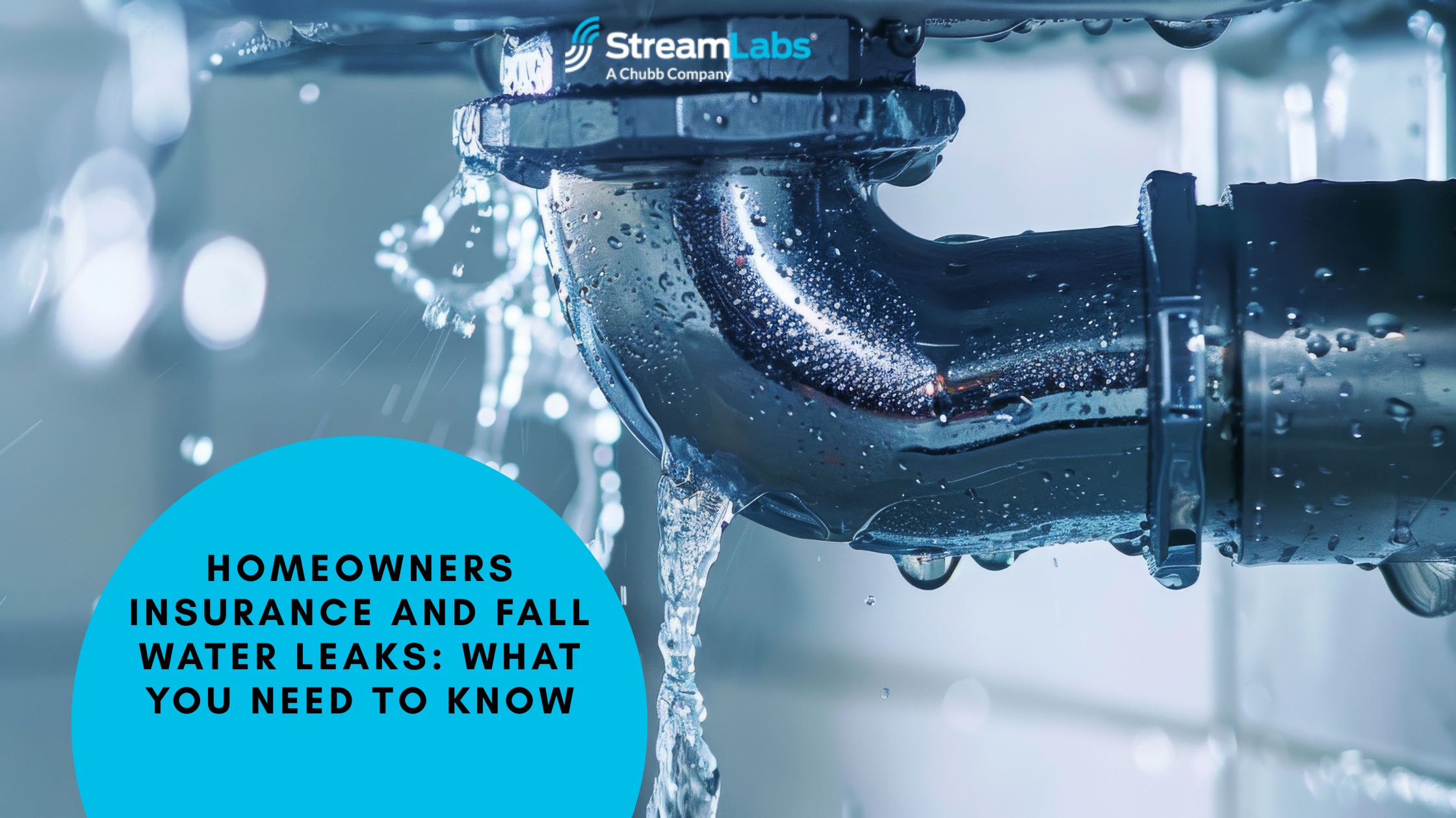 Homeowners Insurance and Fall Water Leaks: What You Need to Know