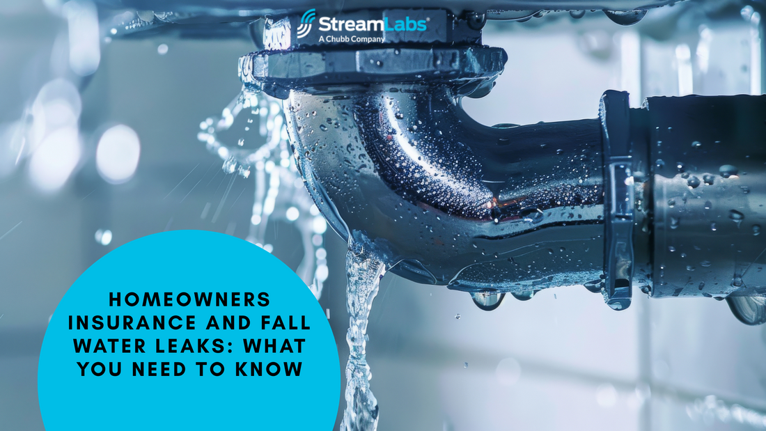 Homeowners Insurance and Fall Water Leaks: What You Need to Know