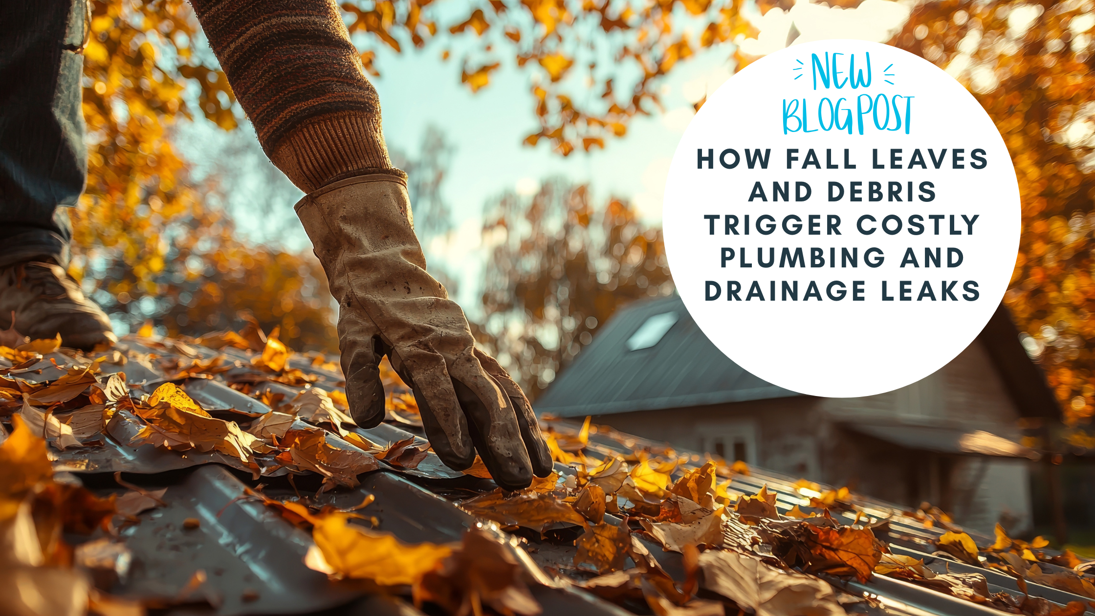 How Fall Leaves and Debris Trigger Costly Plumbing and Drainage Leaks