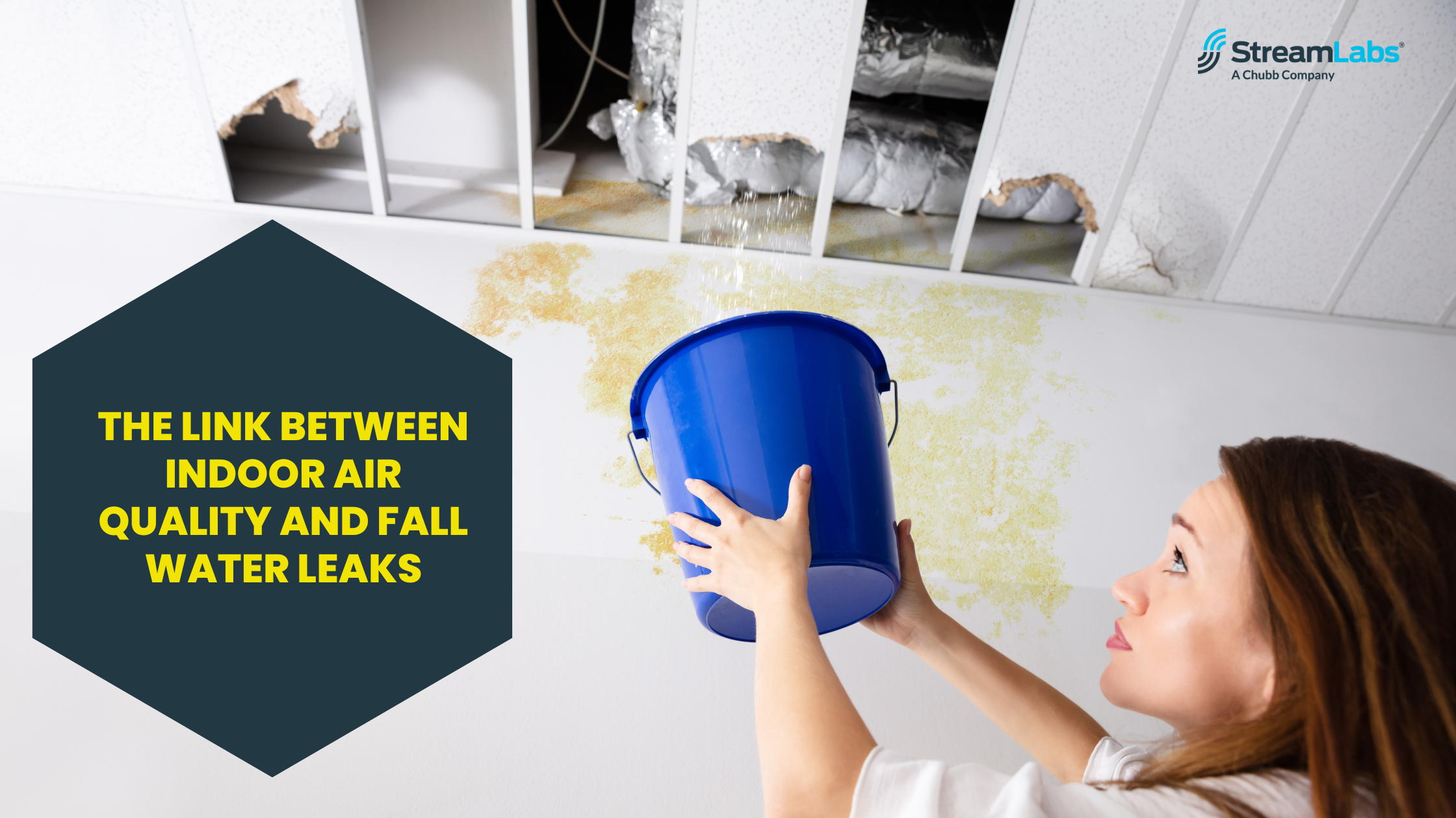 The Link Between Indoor Air Quality and Fall Water Leaks