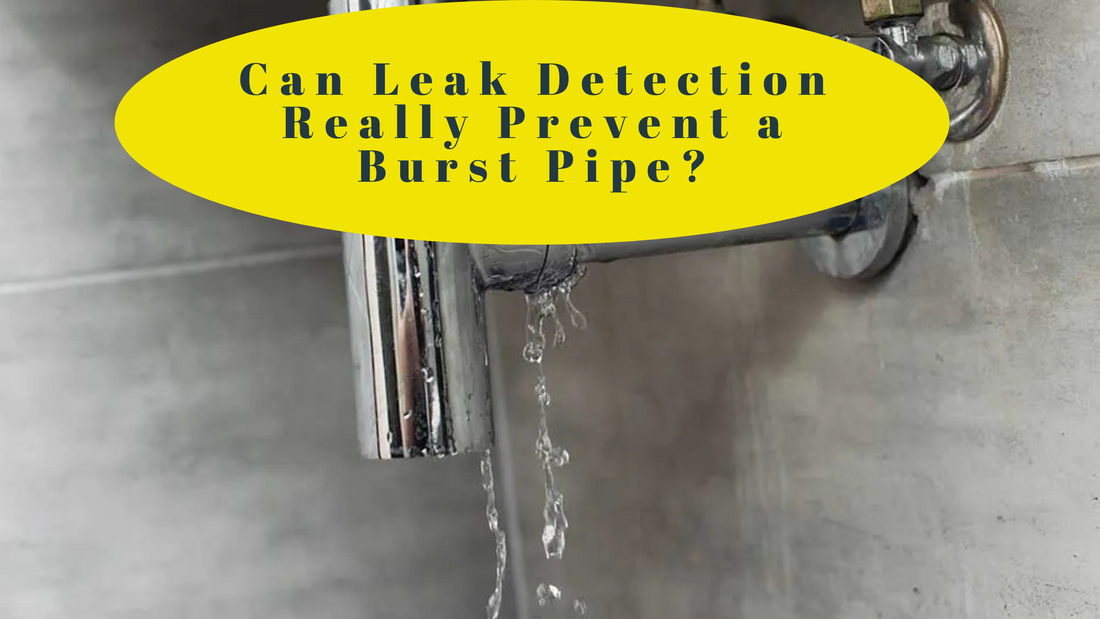 Can Leak Detection Really Prevent a Burst Pipe?
