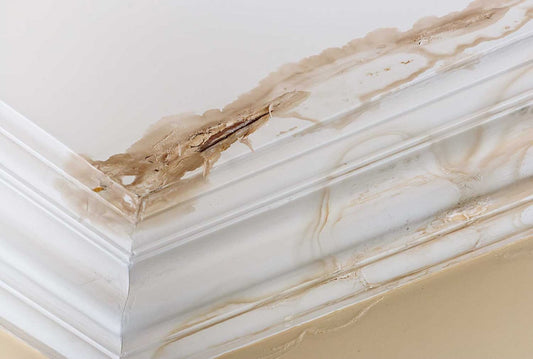 6 Common Misconceptions about Water Damage.