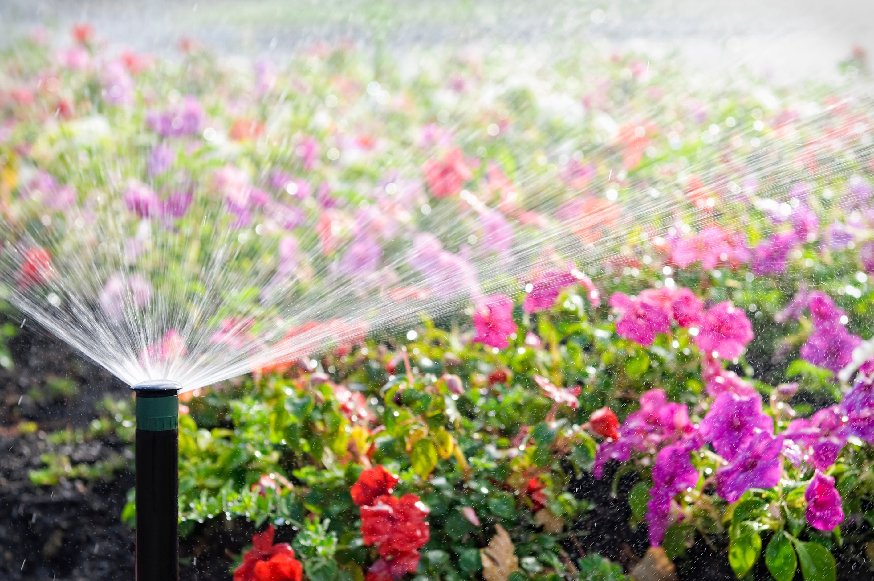 Why Spring Flooding Happens
