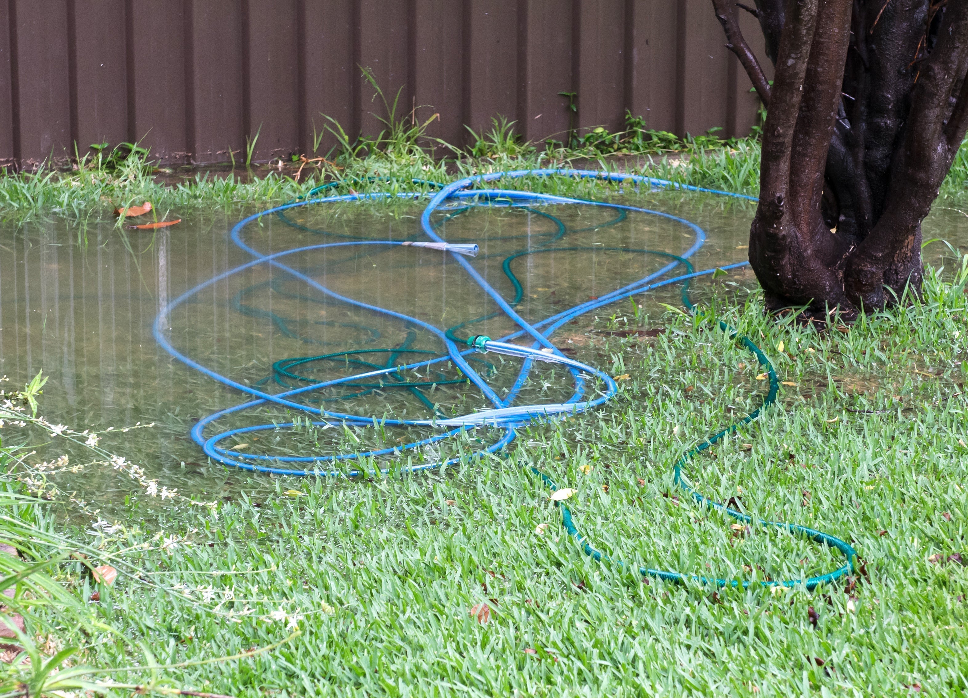 Springtime Water Leak Scenarios: What Every Homeowner Should Watch For